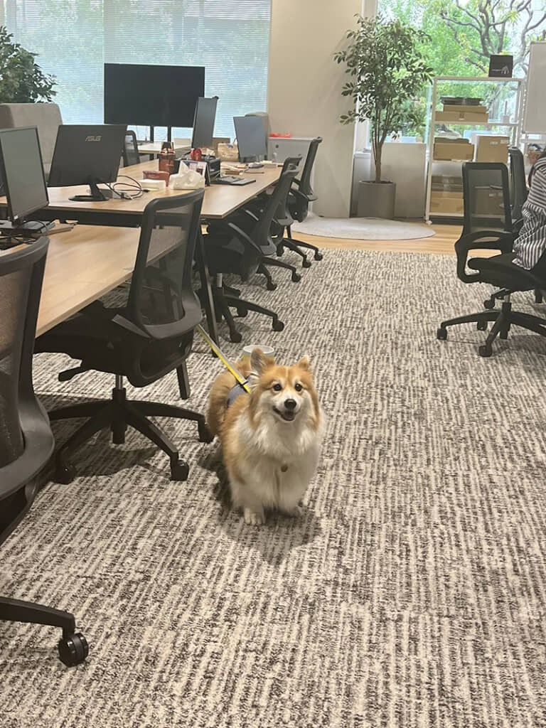 朝から最高の癒やし……！