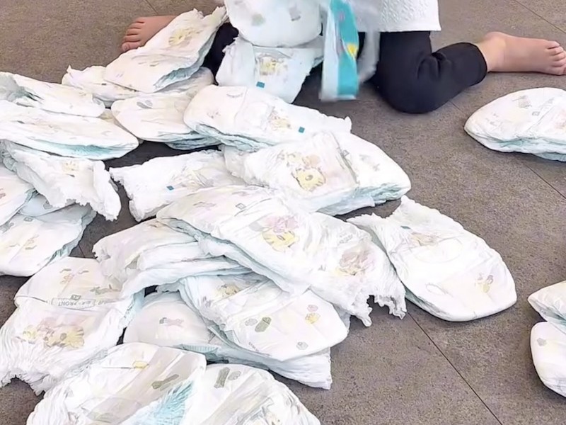 ズボラ2児ママの“ダイソーDIY”で……　おむつ替えのストレスとサヨナラ「天才」「早速作りました！」（1/2） | ライフスタイル ねとらぼ