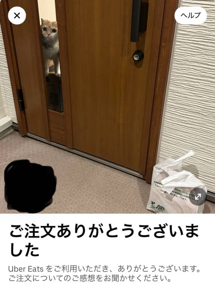 むしろきなこちゃんがメイン