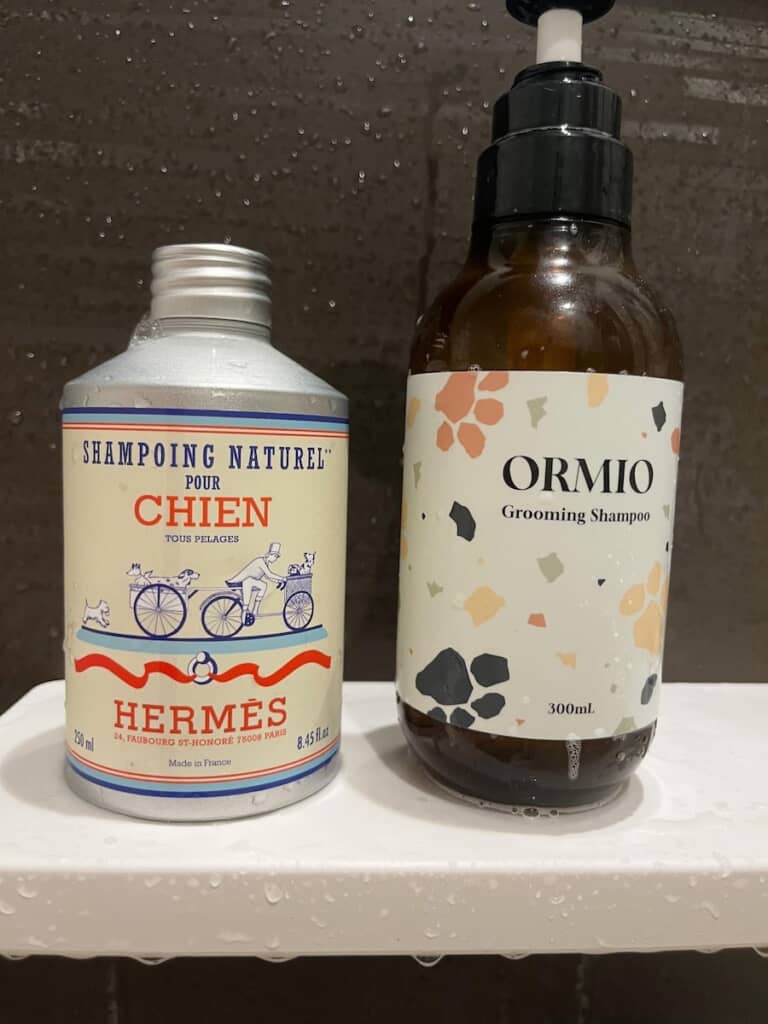 愛犬との散歩中、エルメスで5000円の犬用アイテムを紹介され