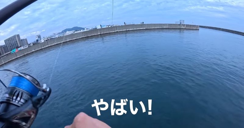 女性1人で堤防釣り→おじさんたちが集まってきて……「すごいな」「でっけ～」　ひっかかった“とんでもない大物”に仰天（1/3） | その他生き物 ねとらぼ