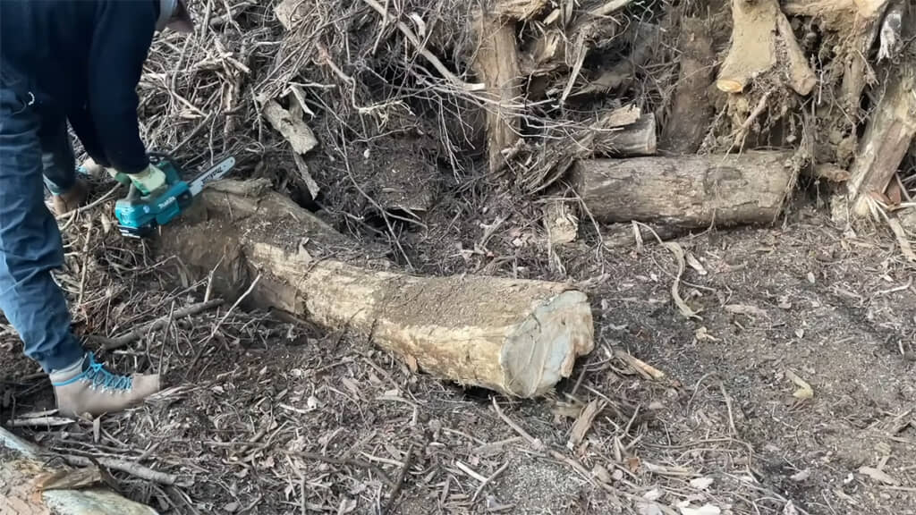 木をチェーンソーで切る