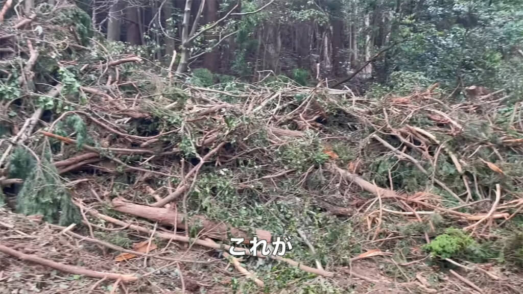 大量の木くずの山