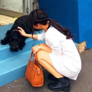 春夏冬つかさ