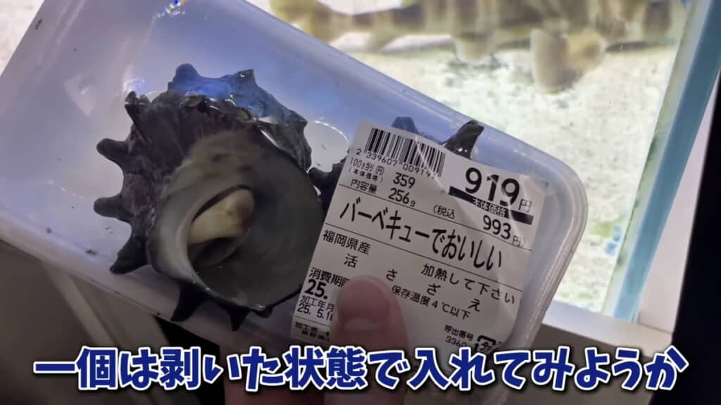 サザエなら食べてくれるかも？