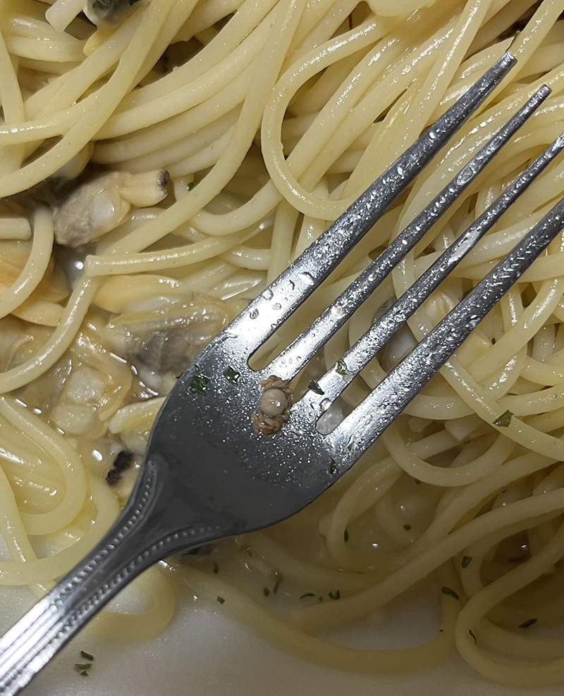 ちっちゃなカニが！