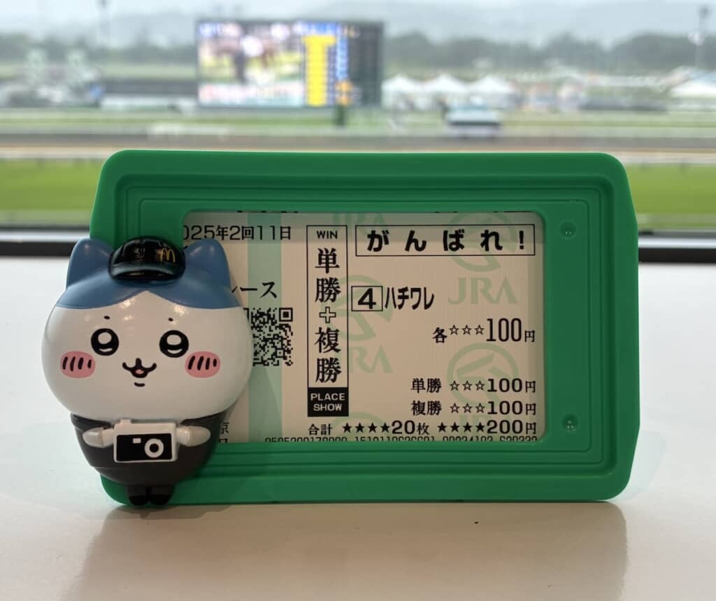 ハチワレがハチワレを応援!?（画像提供：haruru／@easr67121さん）