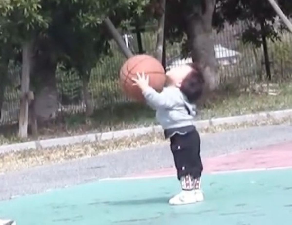 よちよち歩きでバスケをする赤ちゃん→15年後……「やばい」「ボロ泣き」　パパ感動の“衝撃ビフォーアフター”が1600万再生（1/3） | ねとらぼ