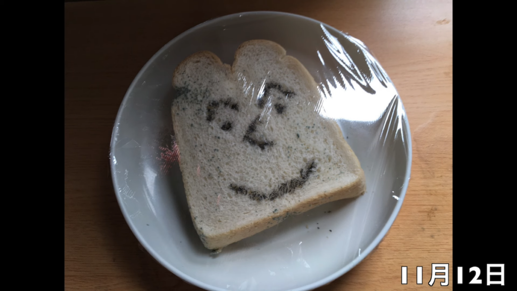 6日後の11月12日には耳のあたりにポツポツとカビが出現