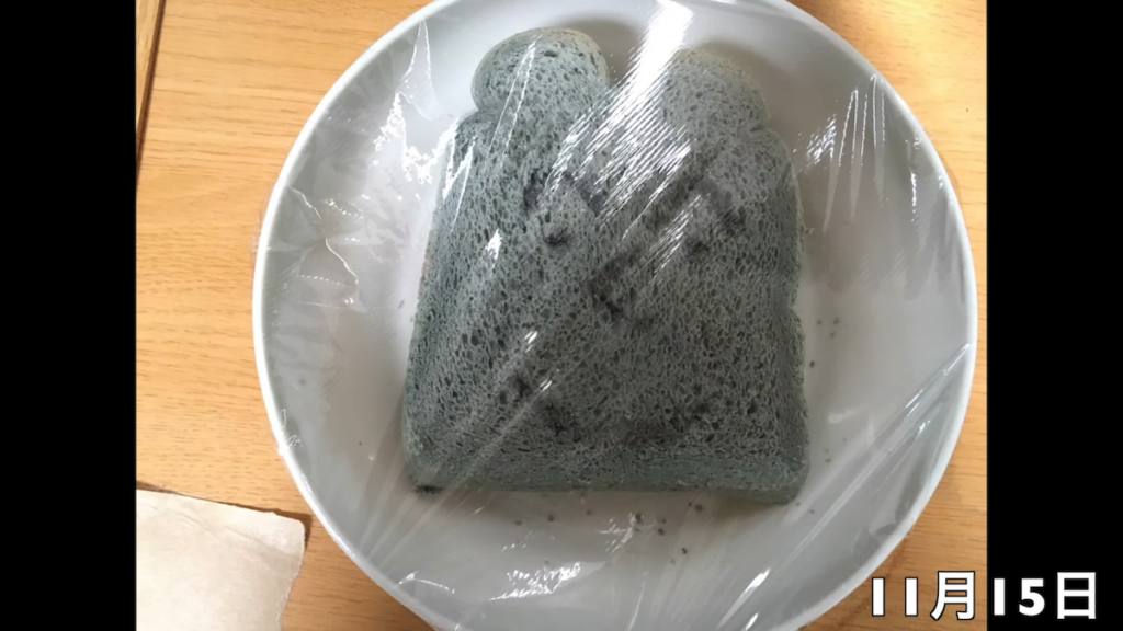 9日後の15日には全体が青っぽく変色