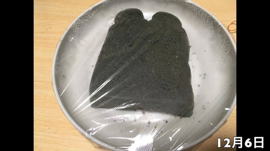 1ヶ月後の12月6日には表面全体が真っ黒い粉状のカビに覆われる状態に