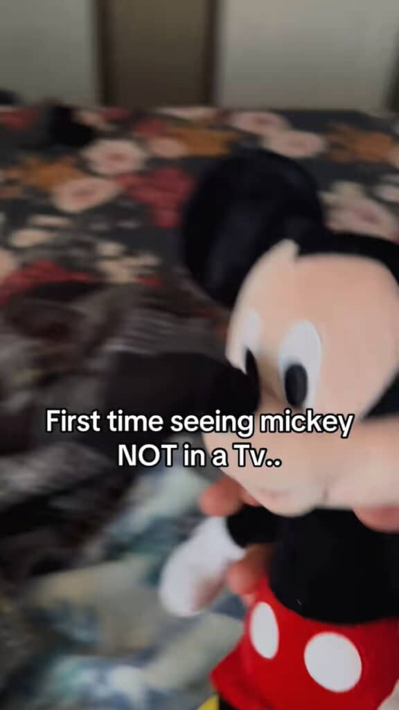 ミッキーマウスのぬいぐるみを初めて見せてみる
