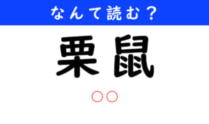 栗鼠