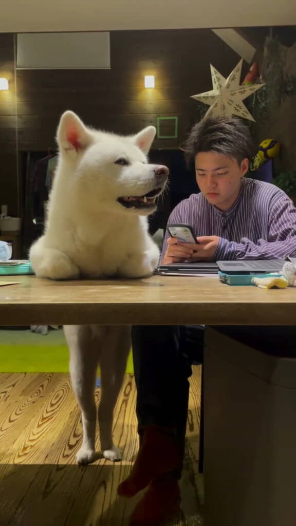 おとなしくしていると思ったら