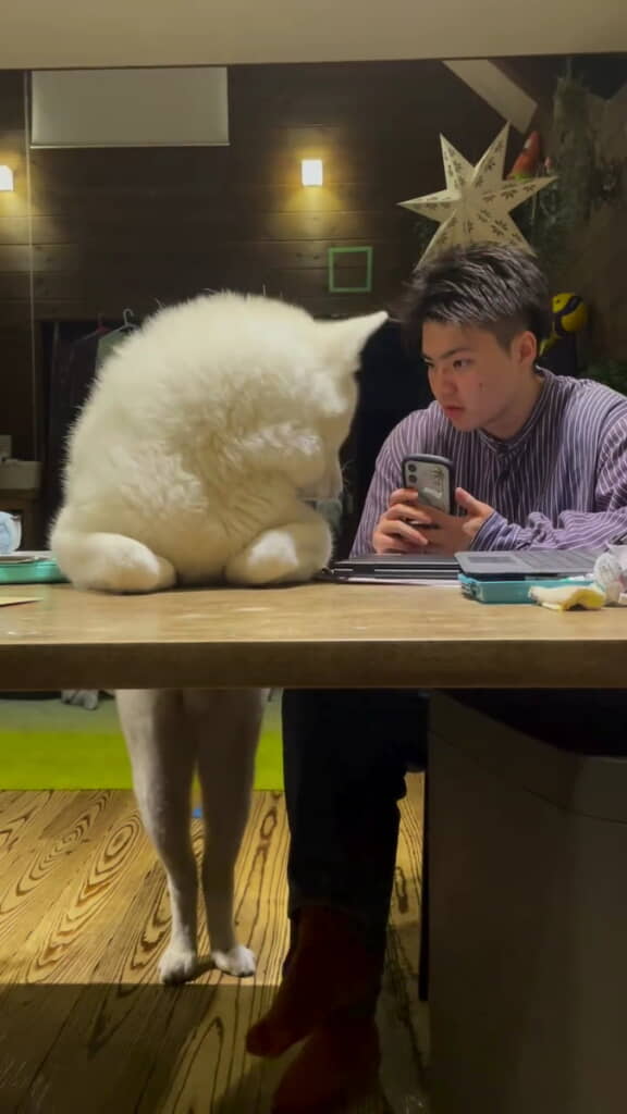 臭う……？
