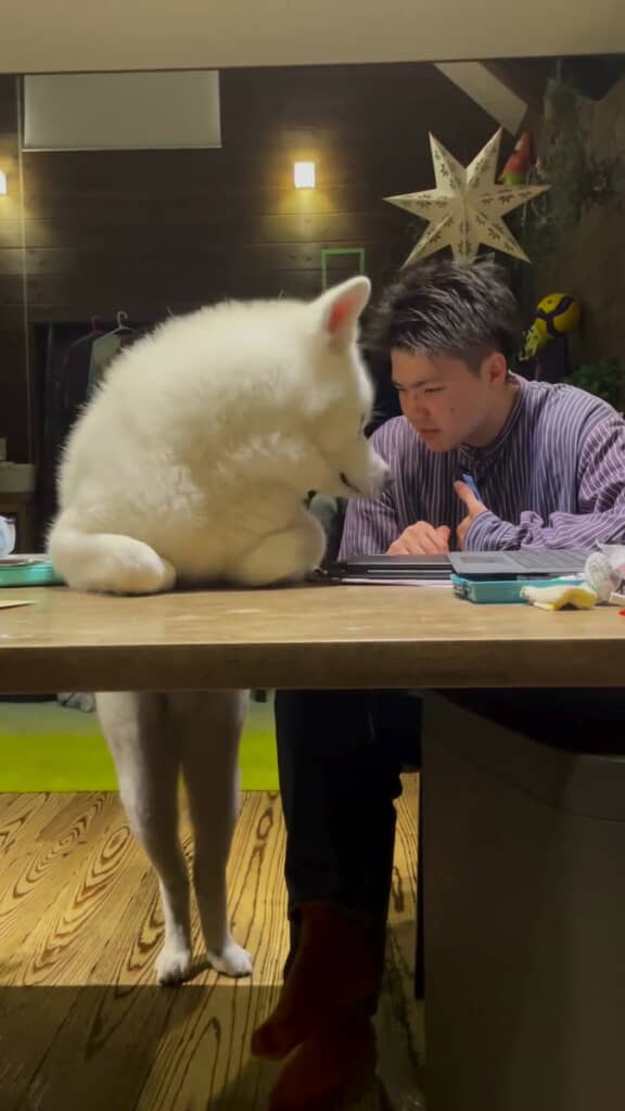 「何か出ちゃったの？」