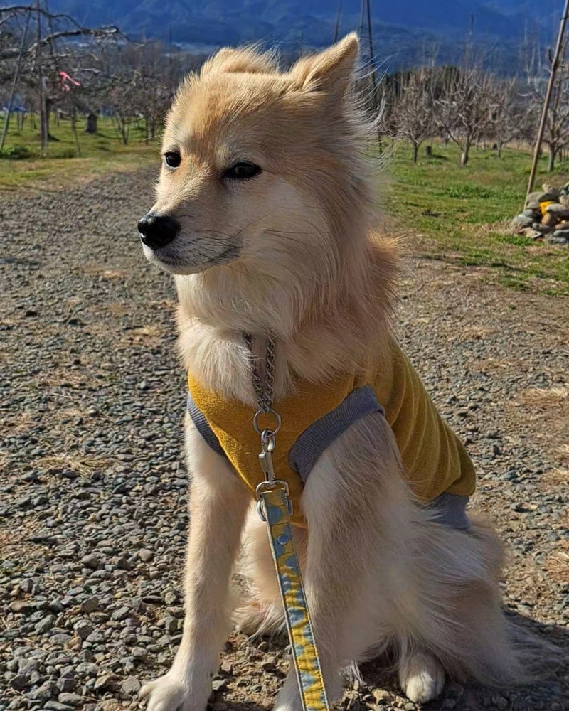 流し目もすてき