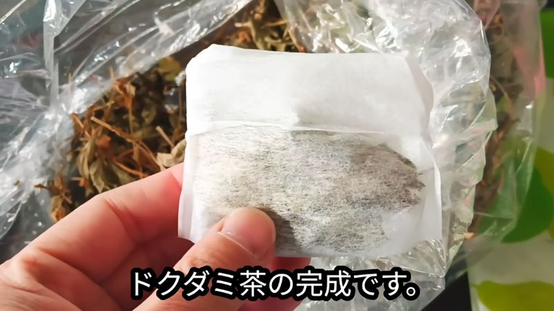 ドクダミの葉を繰り返し採り茶として活用している投稿者