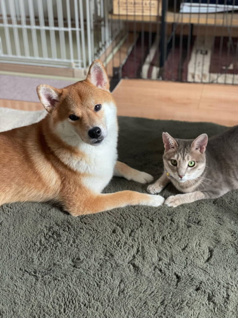 似たもの兄弟？