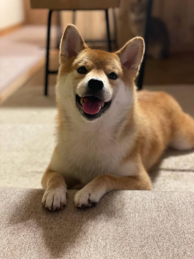 かわいい笑顔