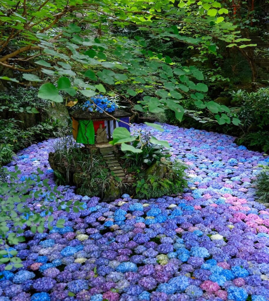 美しく神秘的！