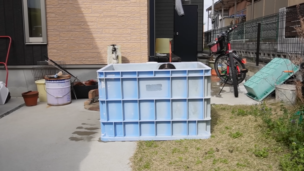 娘さんがすっぽり入るほど大きな容器です