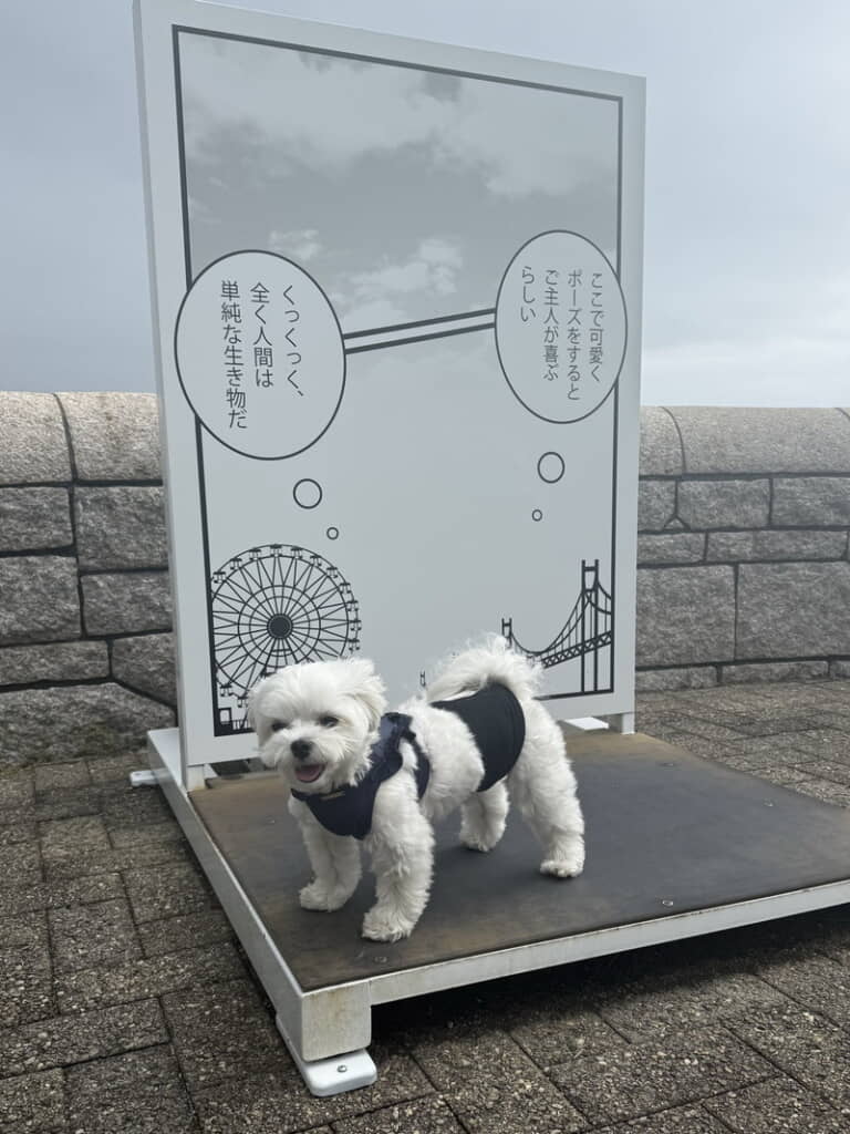 心の声が見えてしまう！