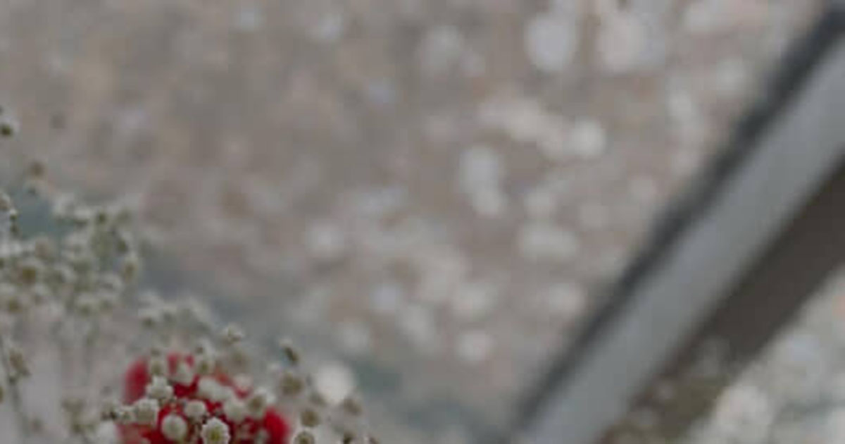 「助けると思って貰ってェ！」→お隣さんがくれたのは……　予想外すぎる“お裾分け”に「すごっ！」「こんなお隣さん神だ〜!!」（1/2） | ライフスタイル ねとらぼ