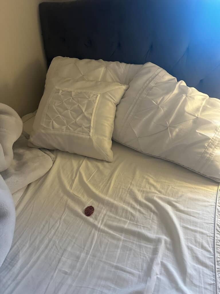 起きたらベッドにシミが……！