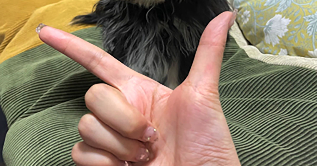 愛犬に“あごをのせてほしい”飼い主→次の瞬間……　思わずツッコんだ光景に「笑った」「これはこれで正解」（1/3） | 犬 ねとらぼ