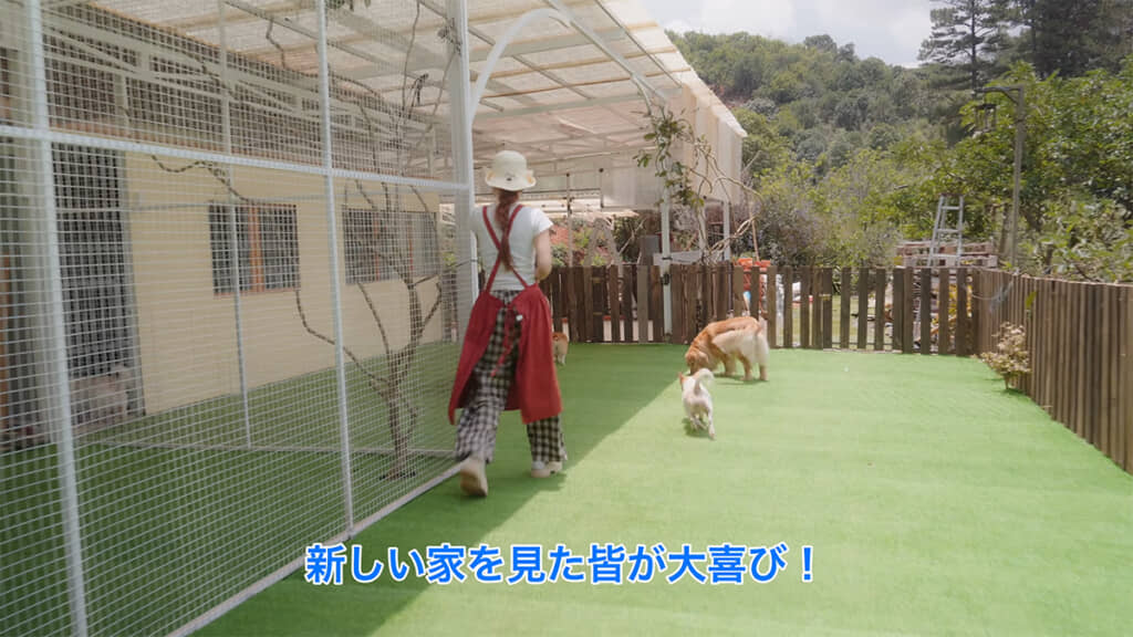 新しい家に大喜びの犬