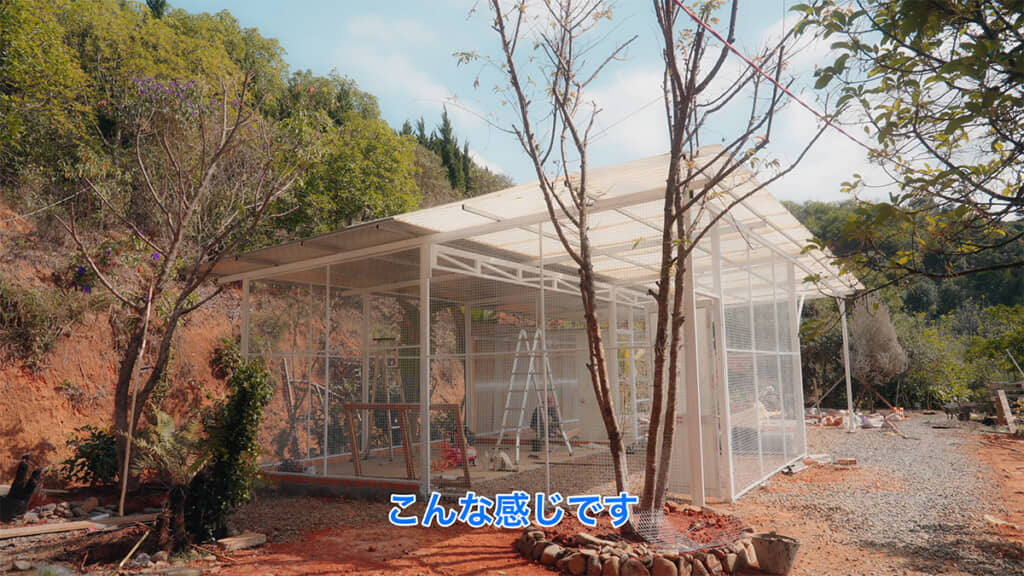 猫ハウスの外側