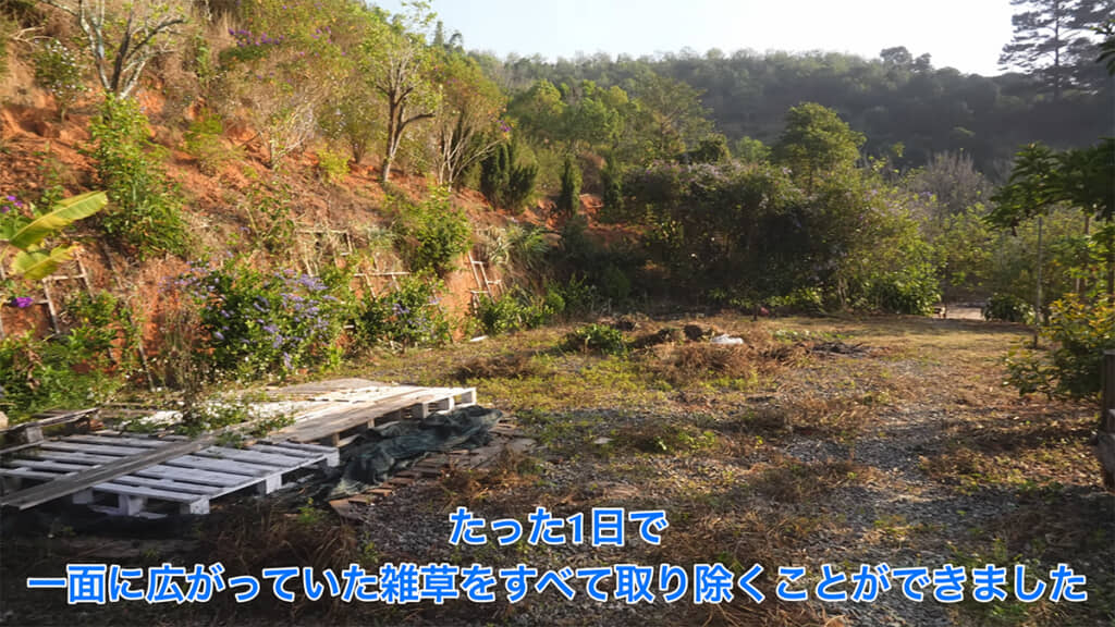 たった1日できれいに