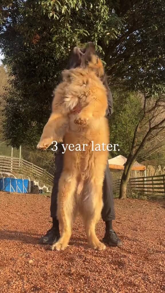 後ろを向いている様子