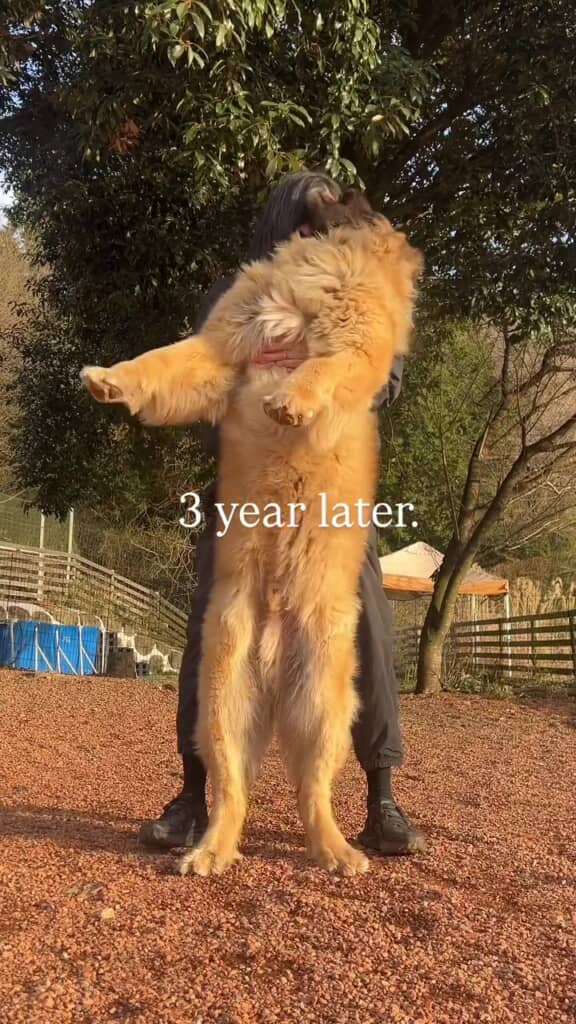 飼い主を甘がみ