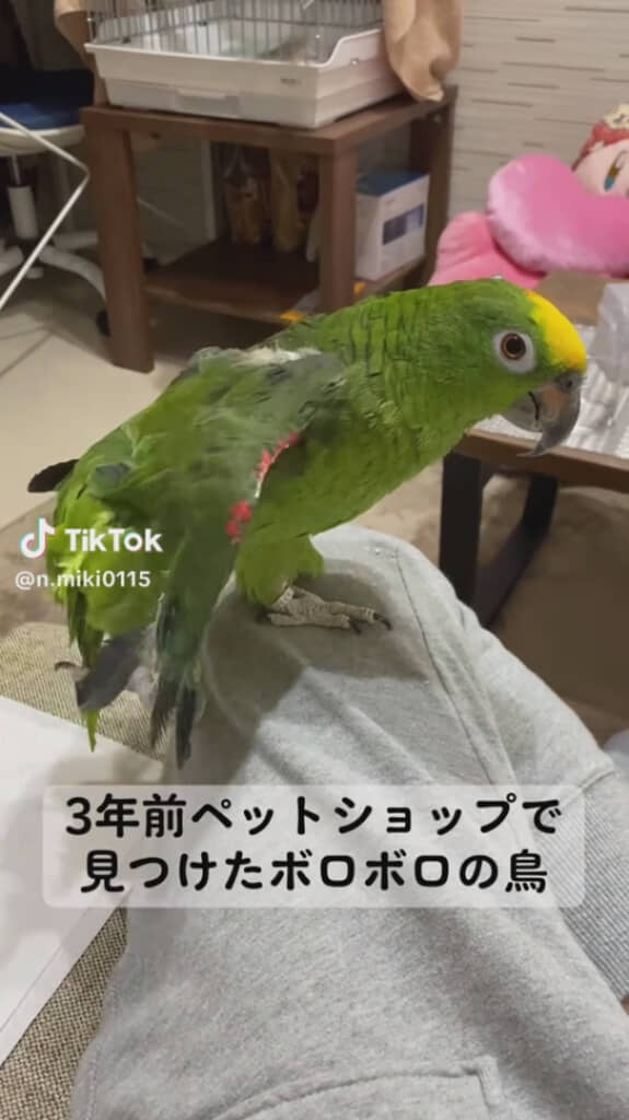 3年前はボロボロ……
