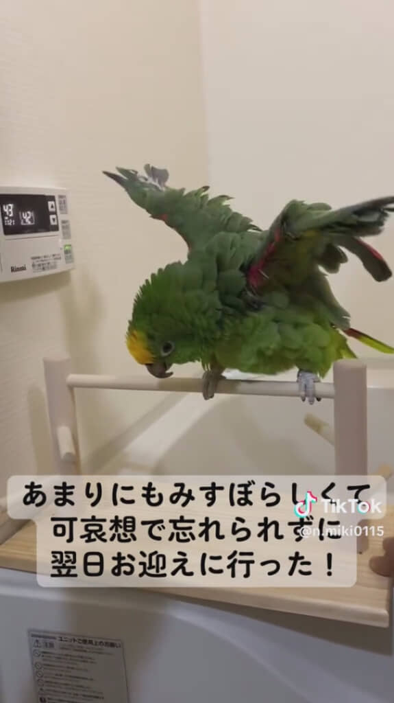 どうしても気になりお迎え