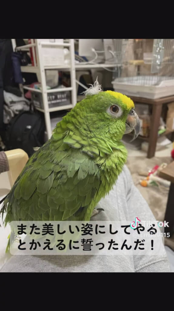 ボロボロの様子を見て決心した不眠の人さん