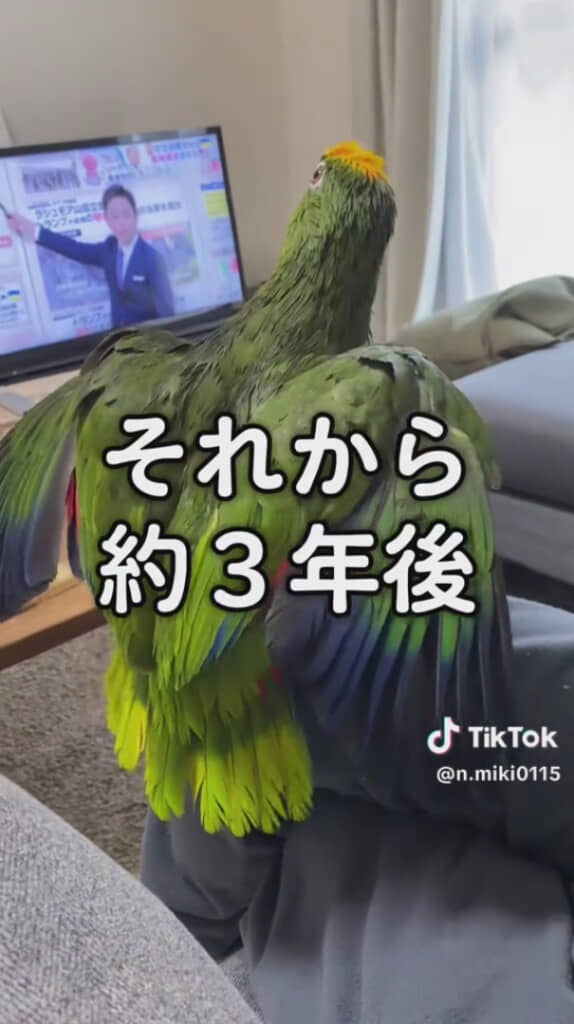 お世話をすること3年