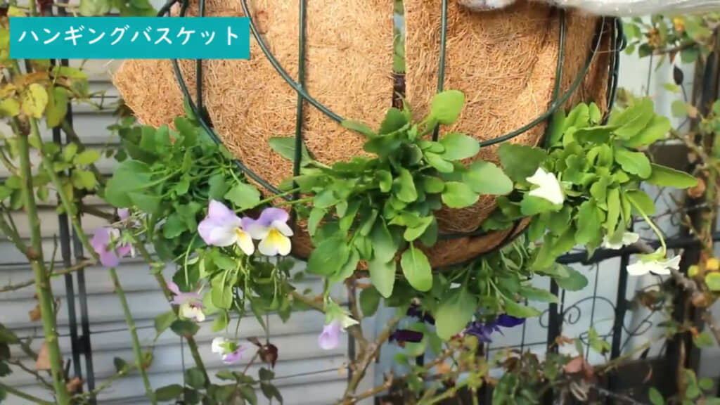 パームマットの下側まで花を植えたら……