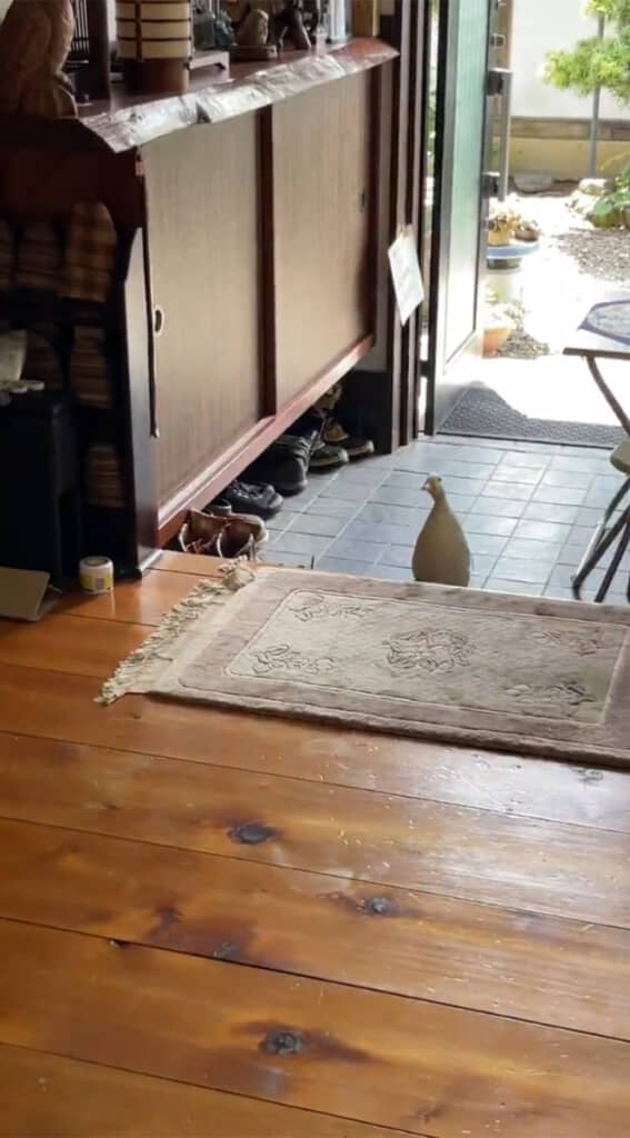 あ、あぶなーい！