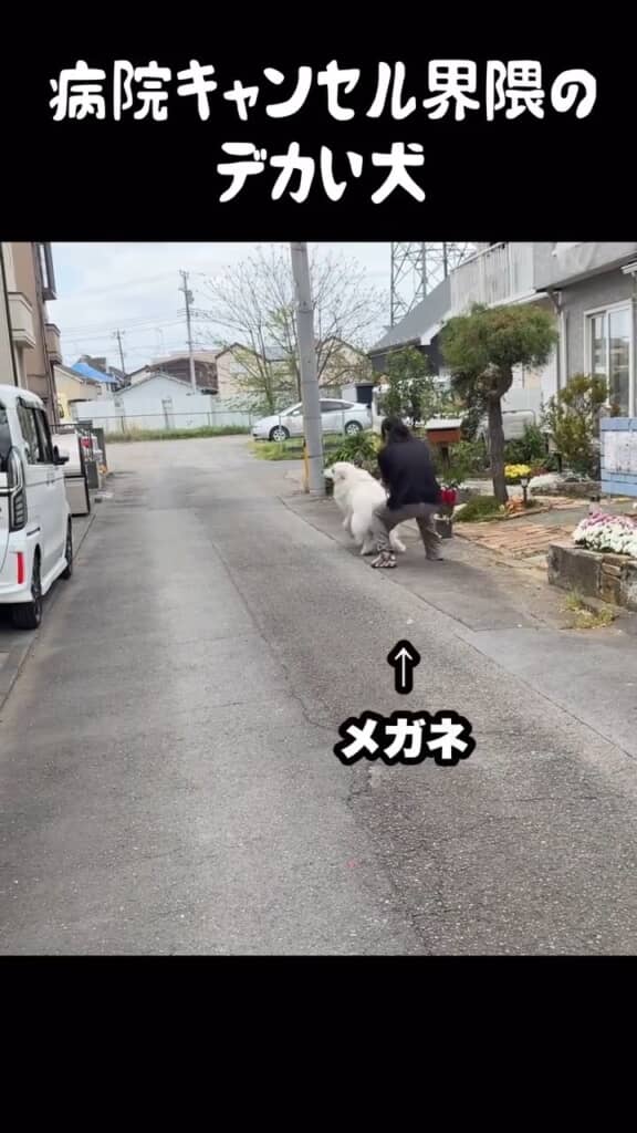 メガネも落ちる勢いで、病院もはるか遠くに