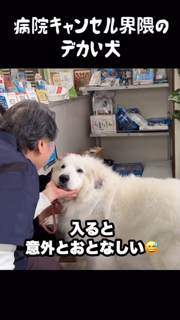 でも、一度落ち着いてくれたらやっぱりかわいい