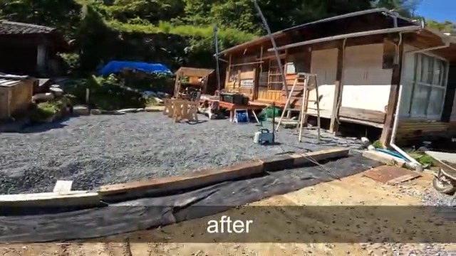 すっかり庭らしくなりました