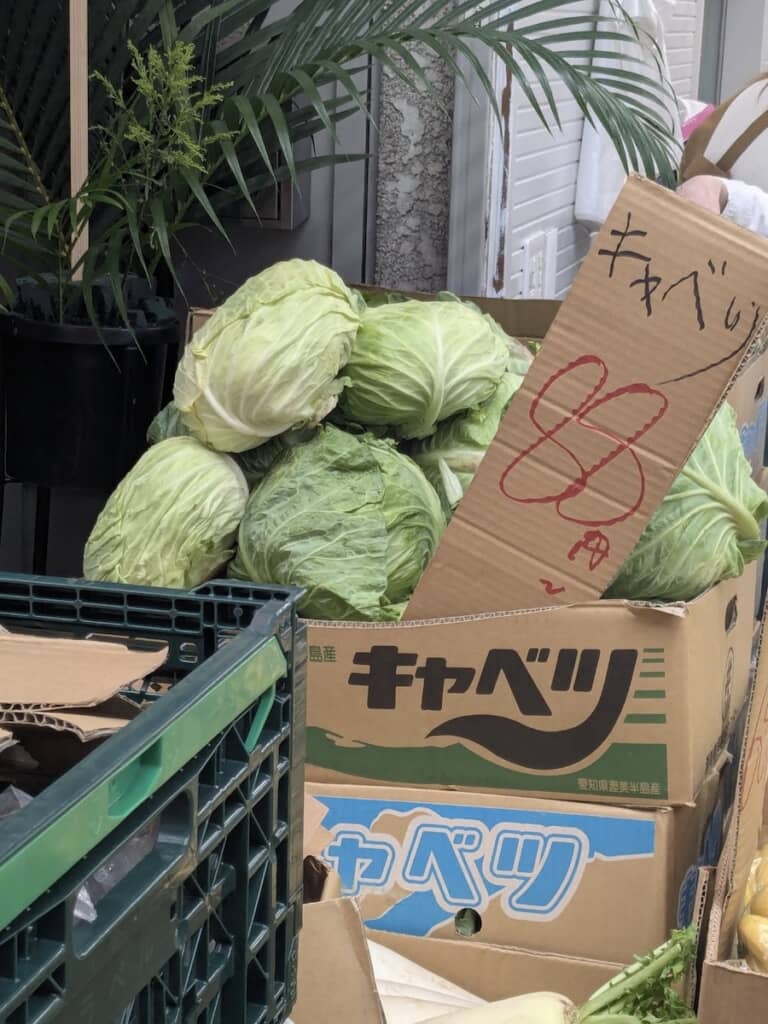 88円という衝撃価格のキャベツ