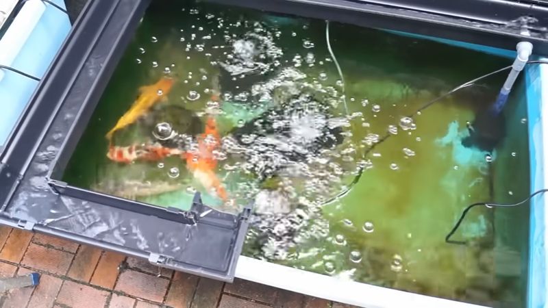 吸い上げられた水が雨どいを通ってコンテナへ戻る