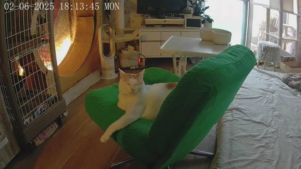 カメラを見て……