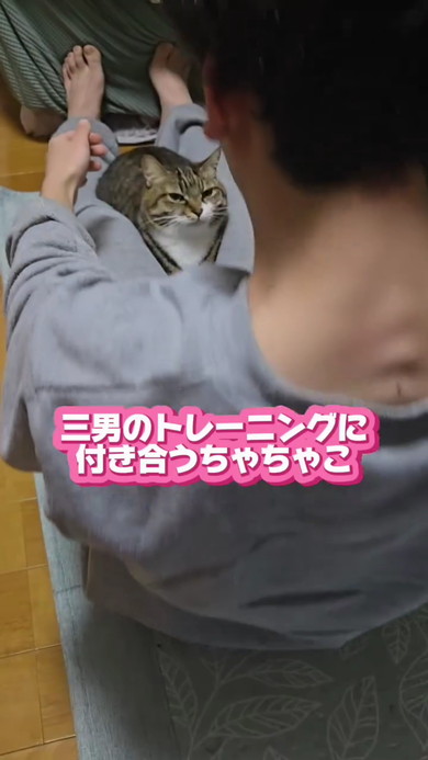 トレーニングに付き合う猫ちゃん