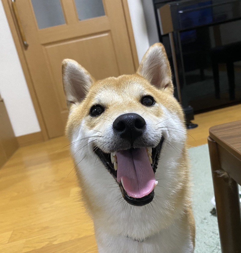 ニッコニコ！