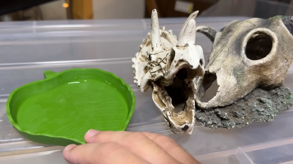 頭蓋骨モチーフのシェルターと水皿を設置